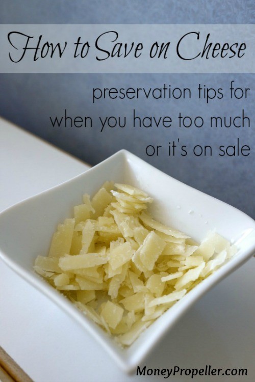 How to Save on Cheese - How to Preserve and Freeze Cheese so you can take advantage of major savings!