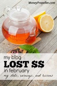 The internet has a lot of income potential, but it's not all roses. Here are my blog earnings and stats for the month of February, 2015.